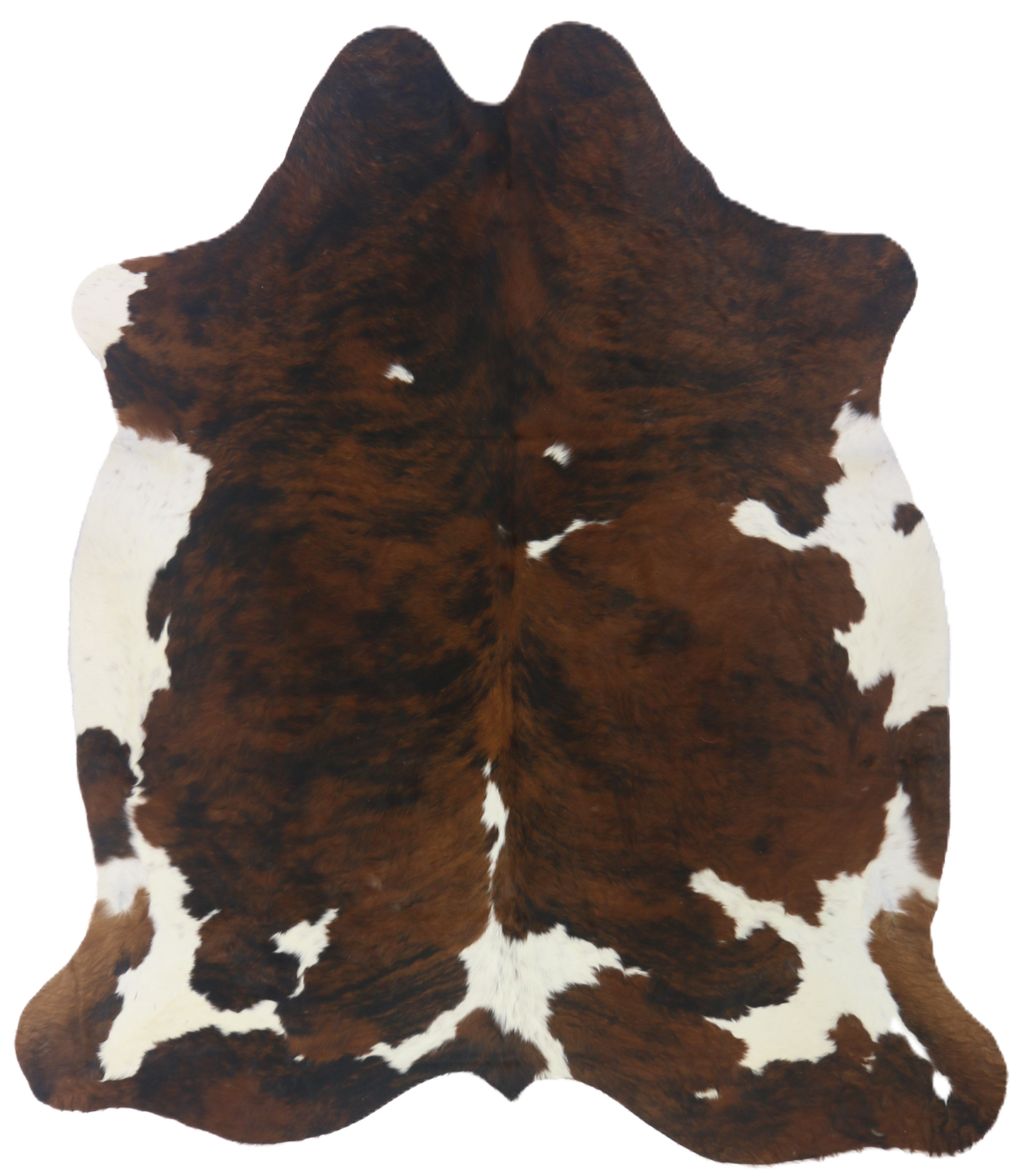 Premium Natural Brazilian Cowhide Tri Colour Brindle Large 3.5–3.9 m²