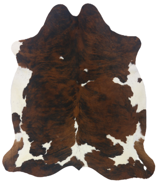 Premium Natural Brazilian Cowhide Tri Colour Brindle Large 3.5–3.9 m²