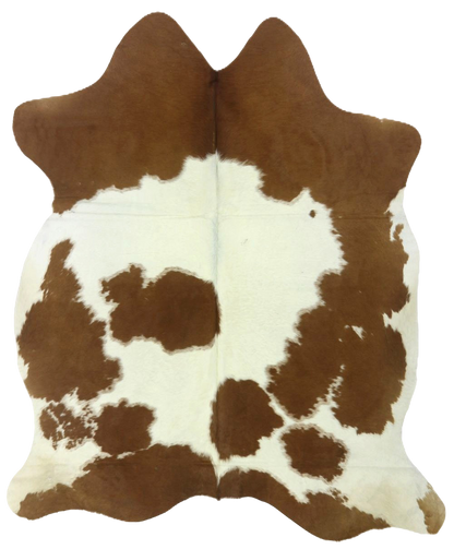 Brown & White Brazilian cowhide rug, cut-out on transparent background