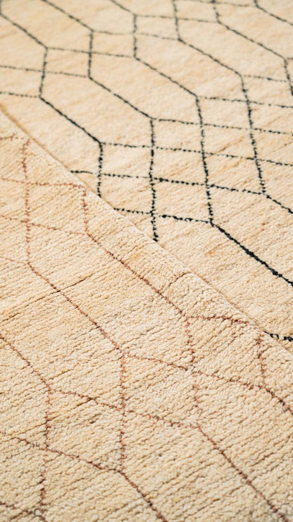 Bazm Hand Knotted Rug - 278 x 189 cm