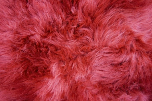Single X-Large Premium Sheepskin Rug & Throw (W65 x L100 cm), Raspberry