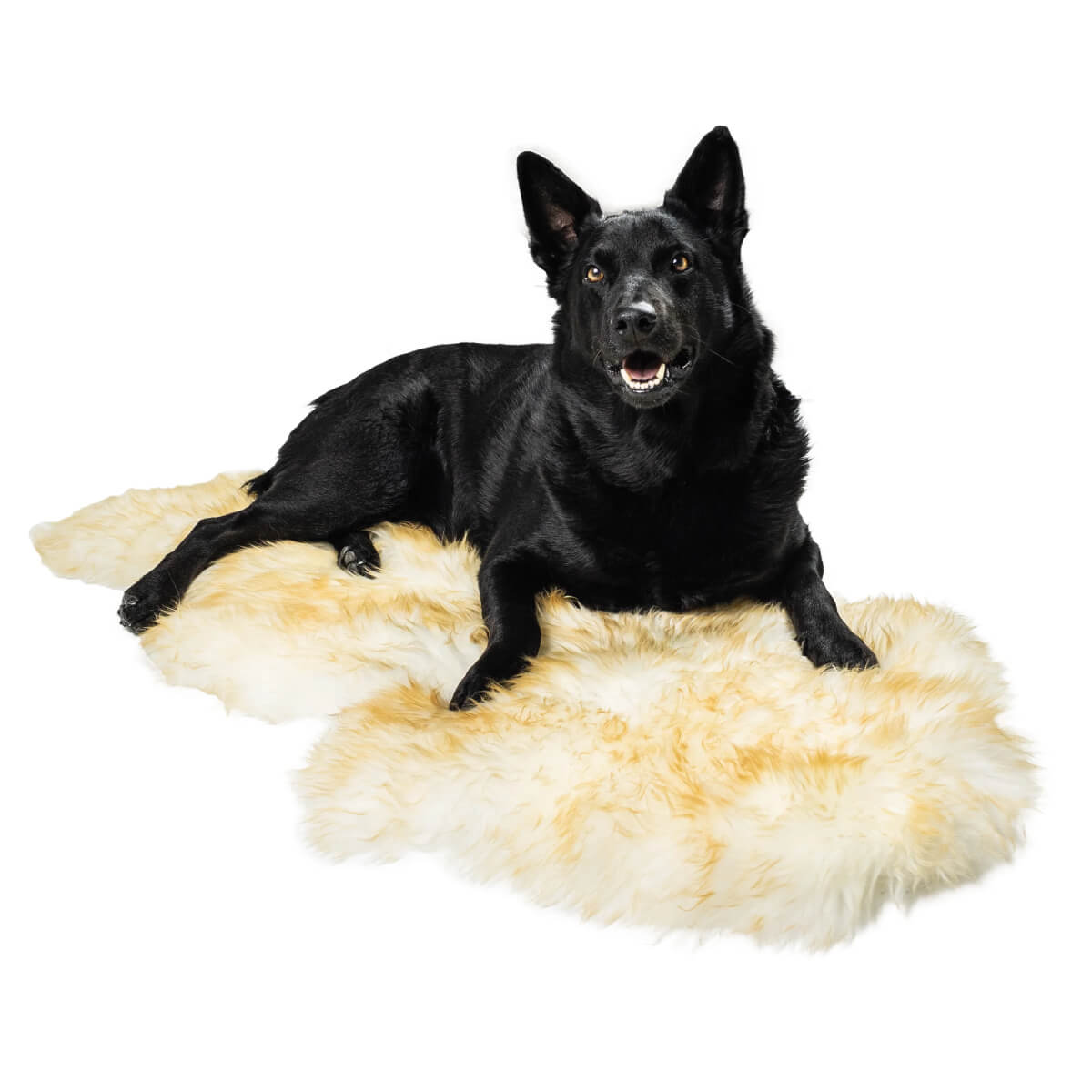 Grip-Backed Pet Mat