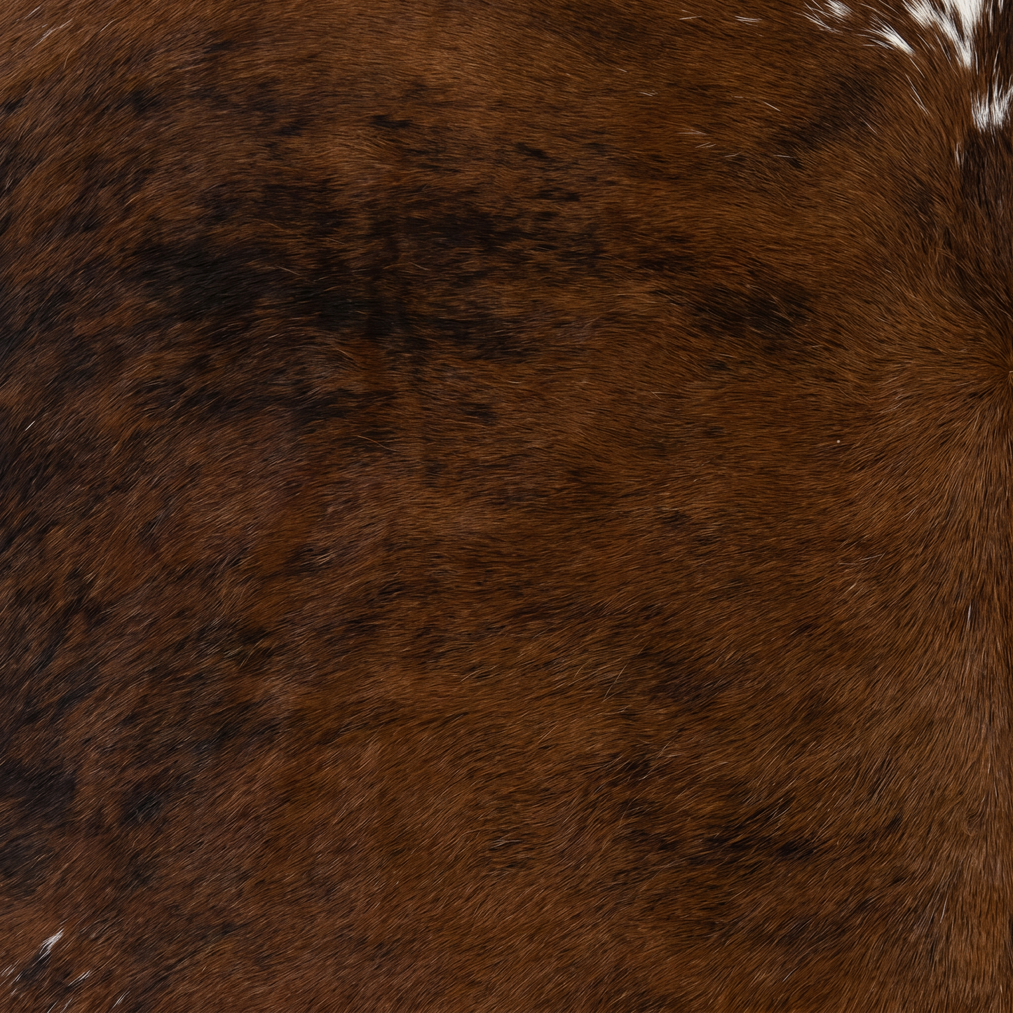 Premium Natural Brazilian Cowhide Tri Colour Medium 2.5–3.4 m²