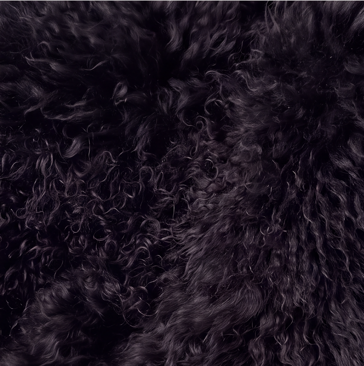 Natural Premium Tibetan Mongolian Sheepskin Rug/Throw, Single, Large (L95 x W60 cm), Black