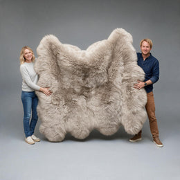 Octo New Zealand Sheepskin Rug & Throw, 8-Pelt, XX-Large, L200 x W180 cm, Oyster (Cloud Dancer)