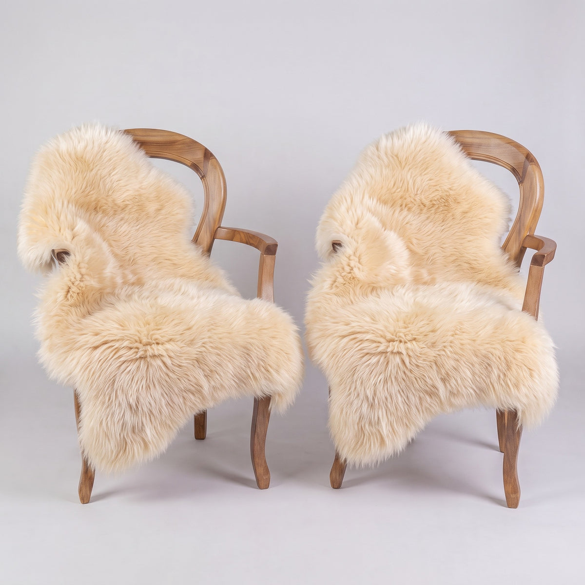 Pair of Champagne X-Large single sheepskin rugs draped over two armchairs