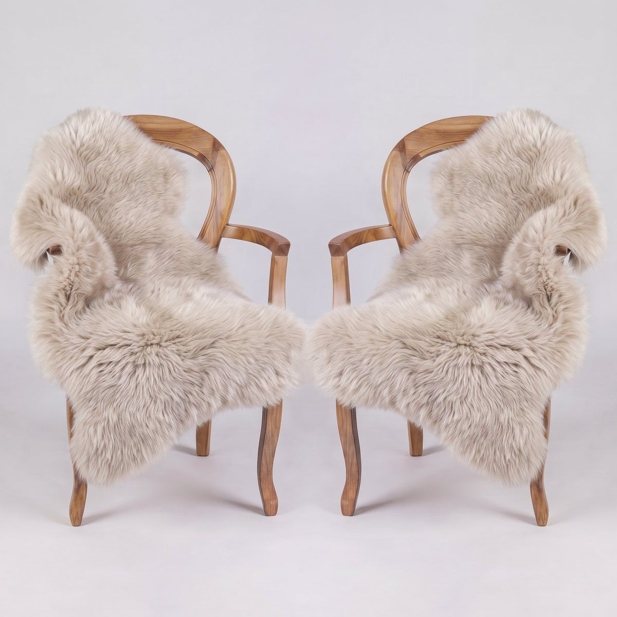 Pair of Oyster X-Large single sheepskin rugs draped over two armchairs