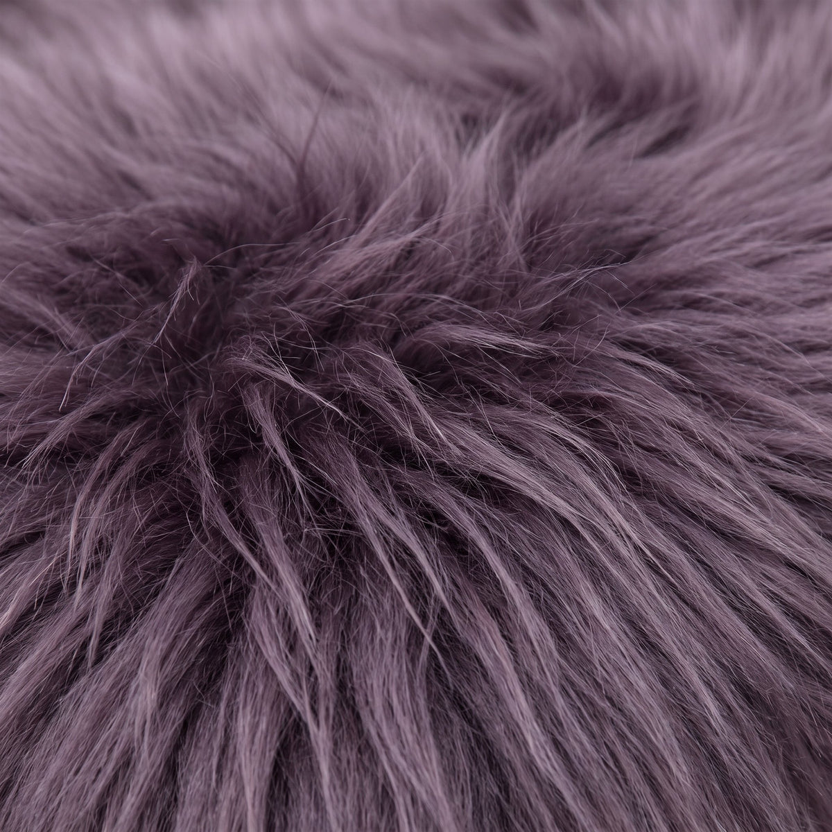 Close-up of Purple long wool sheepskin fibres