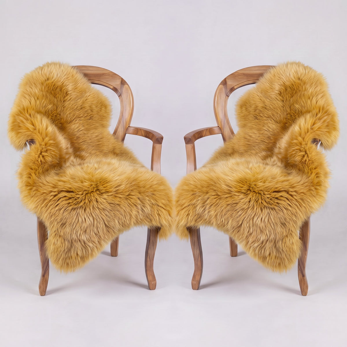 Pair of Squash X-Large single sheepskin rugs draped over two armchairs