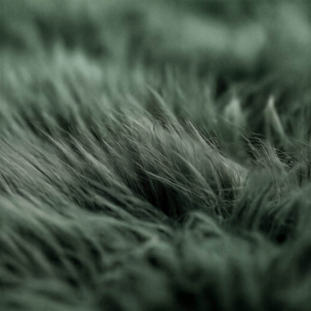 Quad New Zealand Sheepskin Rug & Throw in Jungle Green, wool macro detail