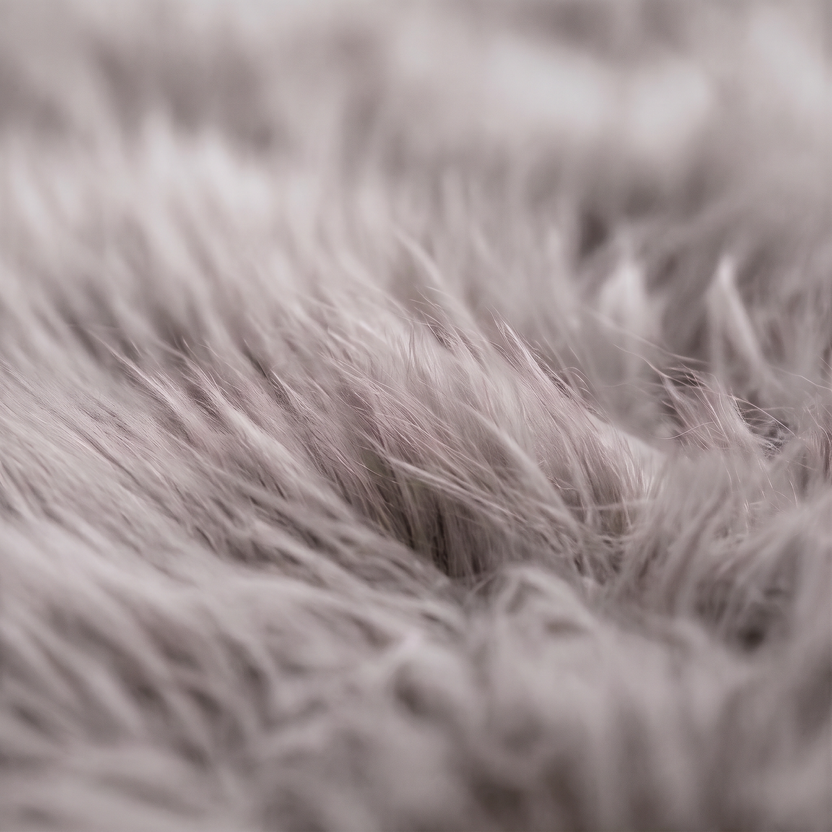 Quad New Zealand Sheepskin Rug & Throw in Light Grey, wool macro detail