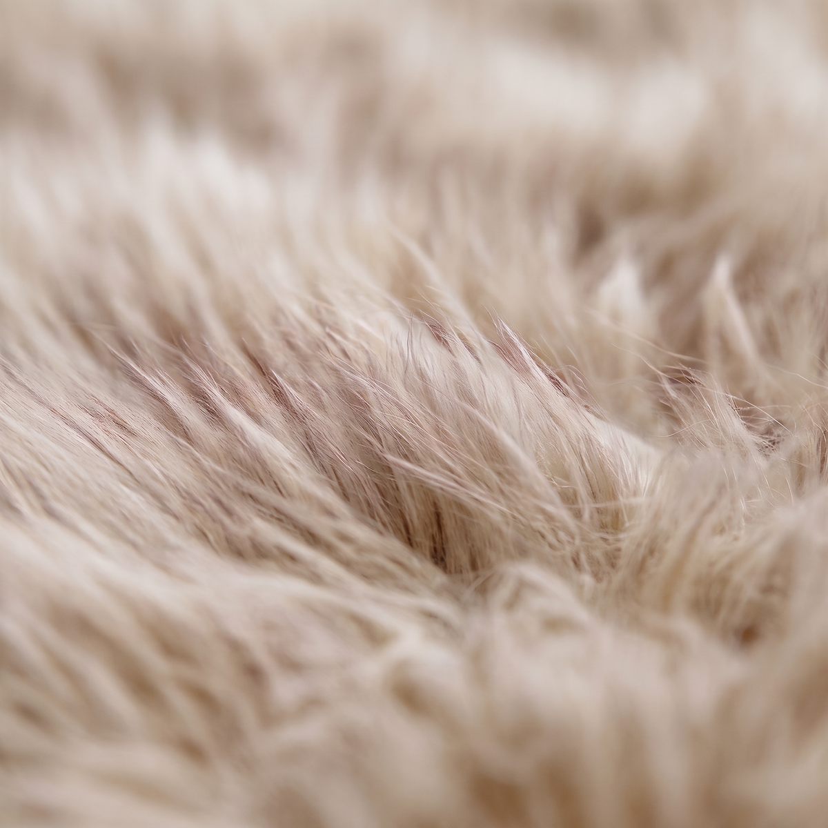 Close-up of Wolf Tip sheepskin wool texture