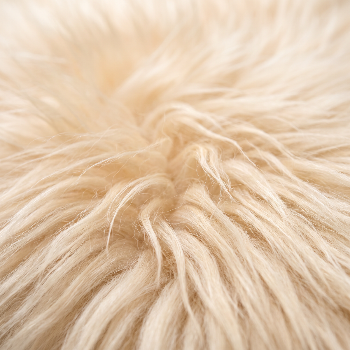 Close-up of Champagne long wool sheepskin fibres