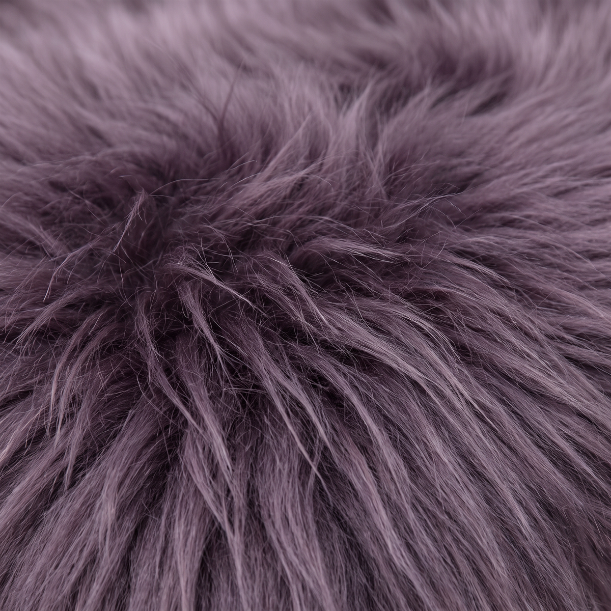 Close-up of Purple long wool sheepskin fibres