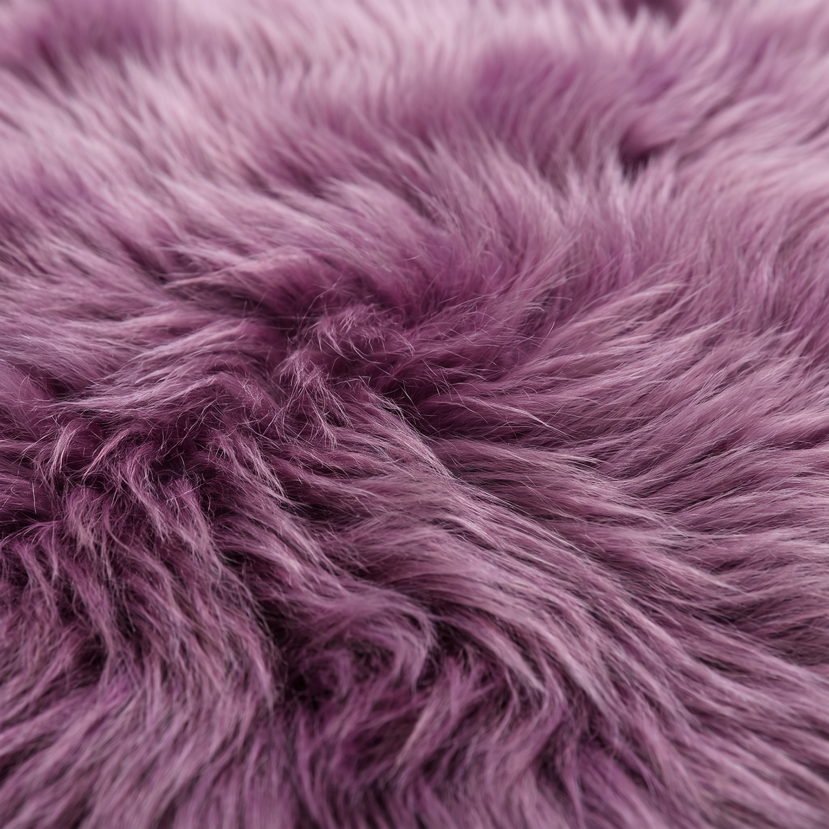 Close-up of Medici purple long wool sheepskin fibres