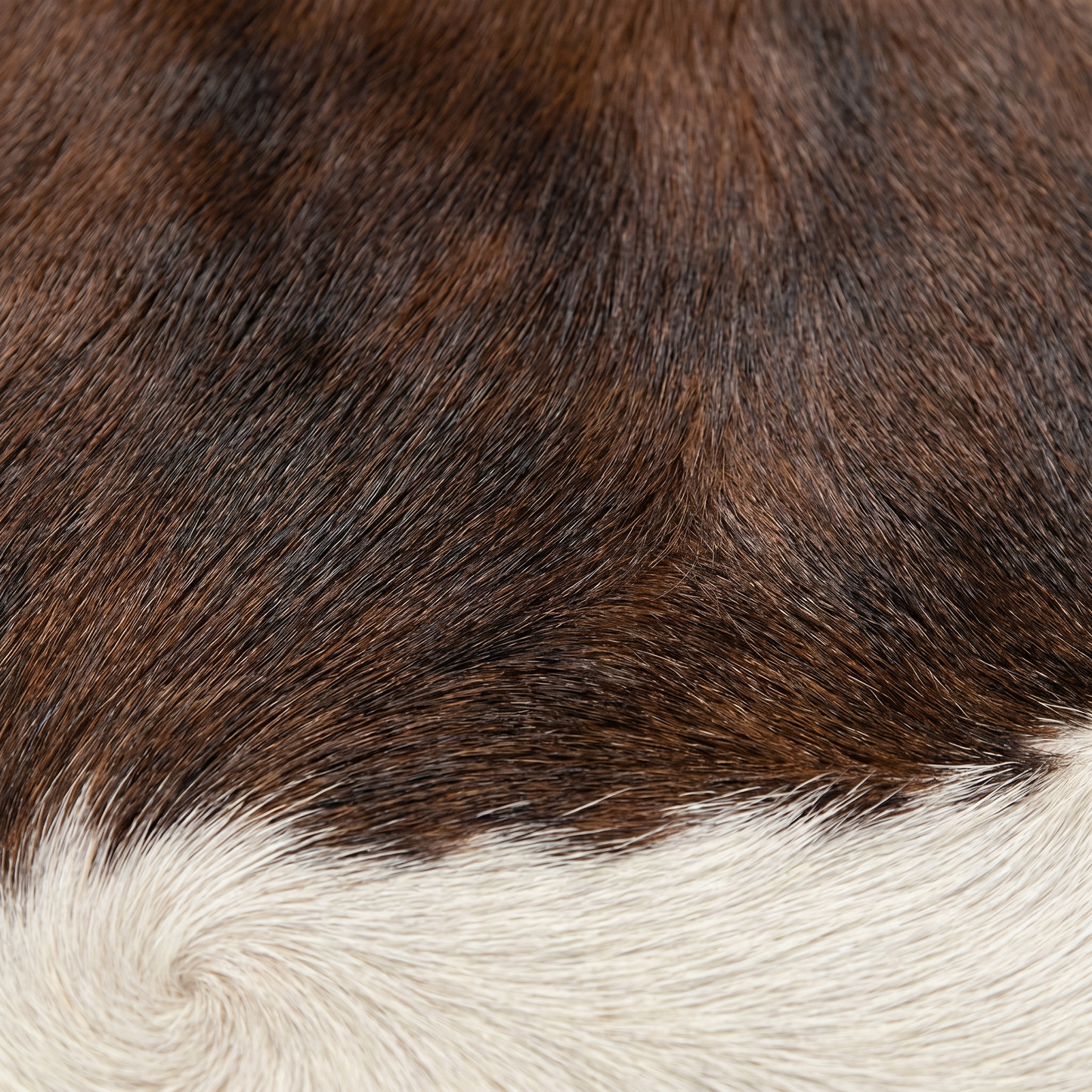 Premium Natural Brazilian Cowhide Tri Colour Medium 2.5–3.4 m²