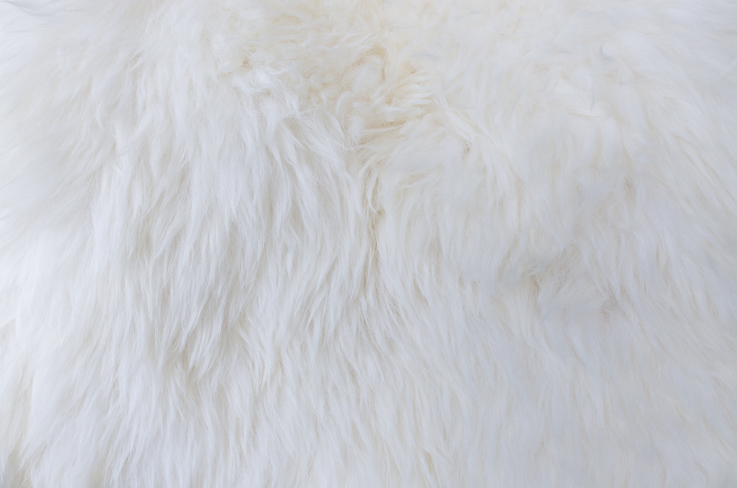 Natural Premium New Zealand Sheepskin Rug & Throw, Single, W55 x L90 cm, Ivory